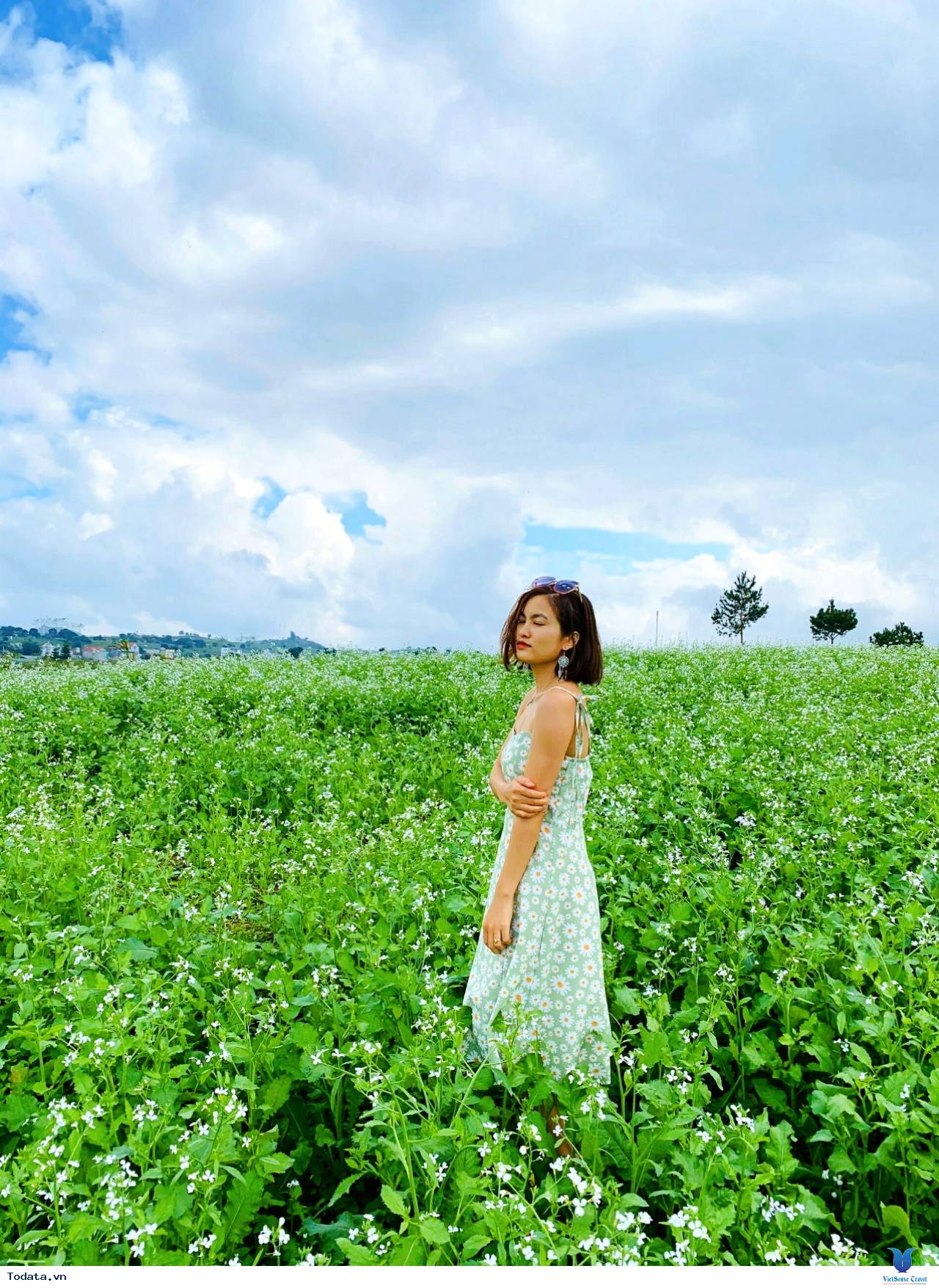 Hà Nội - Mộc Châu Mùa Cải Trắng - Săn Mây Tà Xùa - Ảnh 2